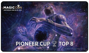 Pioneer Cup Top 8